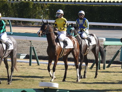 20150110 中山1R 3歳未勝利 メリケンガール 15