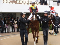 20150321 中山10R 韓国馬事会杯 ランドマーキュリー 05