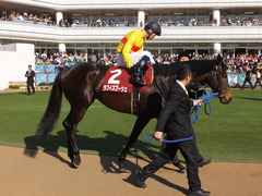 20150328 中山11R 日経賞(G2) ラブイズブーシェ 10