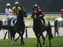 20140531 東京6R オウケンブラック 14