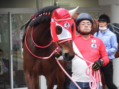 20180415 中山9R 鹿野山特別(1000) ピッツバーグ 03