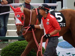 20171014 京都11R 清水S(1600) レーヌドブリエ 11