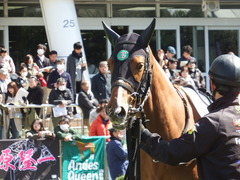 20180317 中山6R 3歳未勝利 リベラシオン 10