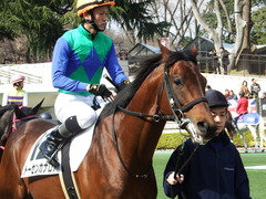 20180217 東京4R 4歳上障害未勝利 トーセンカナロア 13