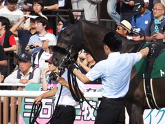 20160903 札幌11R 札幌2歳S(G3) トリオンフ 16