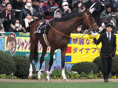 20150125 中山10R 若潮賞 モーリス 08