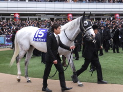 20151227 中山10R 有馬記念(G1) ゴールドシップ 09