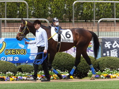 20150328 中山4R 3歳未勝利 ラッシュアタック 05