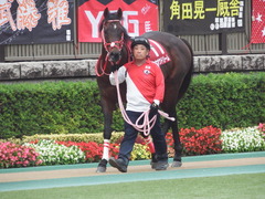 20181104 東京11R AR共和国杯(G2) ホウオウドリーム 04