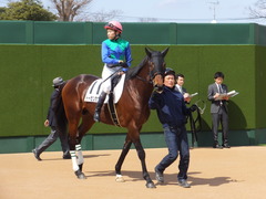 20170402 中山8R 4歳上500万下 トーセンカナロア 17