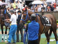 20150621 東京10R 芦ノ湖特別 マッサビエル 10
