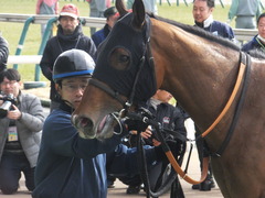 20170205 東京1R 3歳未勝利 メガポリゴン 22