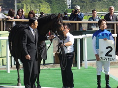 20161105 東京4R 2歳未勝利 アドマイヤシナイ 25