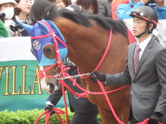 20190427 東京11R 青葉賞(G2) アドマイヤスコール 11