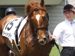 20160521 東京3R 3歳未勝利 オートシャンティ 06