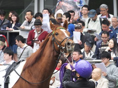 20150419 中山3R 3歳未勝利 トーセンバンビーナ 09