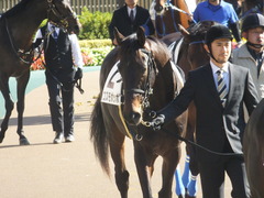 20141122 東京3R コスモポッポ 03