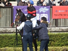 20190216 東京9R フリージア賞 3歳500万下 ホウオウサーベル 10