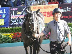 20141122 東京9R からまつ賞 ファインライナー 06