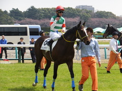 20150328 中山4R 3歳未勝利 ラッシュアタック 14