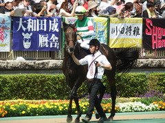 20180527 東京8R 青嵐賞(1000) パリンジェネシス 19