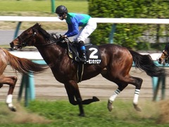 20170416 中山8R 鷹巣山特別 (1000) トーセンカナロア 17