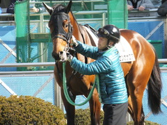 20150125 中山5R 3歳未勝利 トーセンカナロア 11
