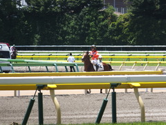 20140614 東京3R レッドリベリオン 14