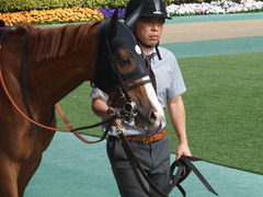 20190421 東京11R フローラS(G2) クラサーヴィツァ 05
