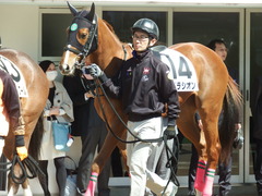 20180317 中山6R 3歳未勝利 リベラシオン 05