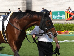 20141026 東京1R トーセンカナロア 05