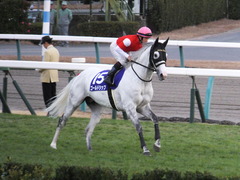 20151227 中山10R 有馬記念(G1) ゴールドシップ 17