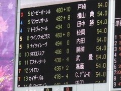 20151031 東京11R アルテミスS(G3) テイケイレーヴ 18