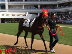 20151003 中山2R 2歳未勝利 ニンギョヒメ 11
