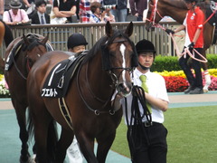 20160528 東京9R 富嶽賞(1000) プエルト 06