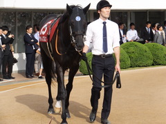 20150927 中山11R オールカマー サトノノブレス 02