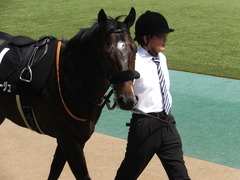 20160501 東京9R 陣馬特別(1000) マイネルサージュ 09