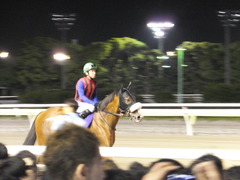 20150624 大井11R 帝王賞(G1) ユーロビート 06