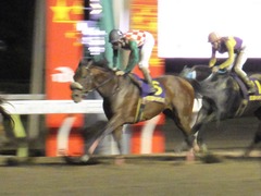 20151104 大井11R マイルグランプリ(S2) グランディオーソ 10