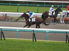 20150419 中山3R 3歳未勝利 トーセンバンビーナ 10