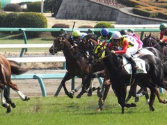 20170320 中山7R 4歳上500万下 アークアーセナル 11