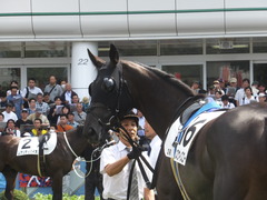 20170909 中山3R 3歳未勝利 ダンスウィズユー 09