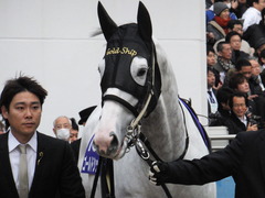 20151227 中山10R 有馬記念(G1) ゴールドシップ 07