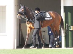 20140118 中山競馬場 ツクバアスナロ 03