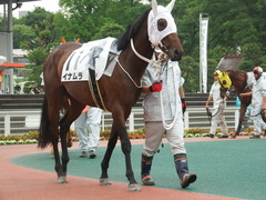 20180523 大井3R 3歳(195万下) イナムラ 10