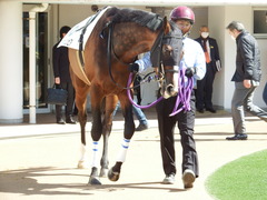 20180317 中山3R 3歳未勝利 エイカイオリンピア 11