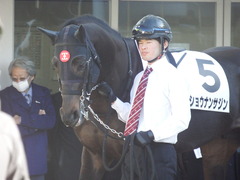 20190119 中山2R 3歳未勝利 ショウナンサジン 06