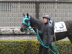 20160130 東京3R 3歳未勝利 アイルーロス 07
