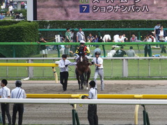 20160529 東京12R 目黒記念(G2) リヤンドファミユ 15