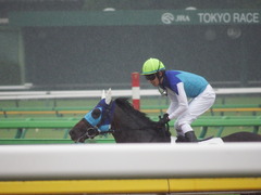 20180623 東京12R (500) アドマイヤシナイ 18